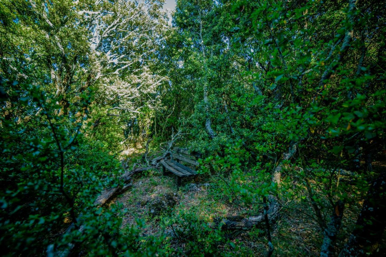 Menecrates Rustic - San Matteo Agios Matthaios (Corfu) Exterior foto